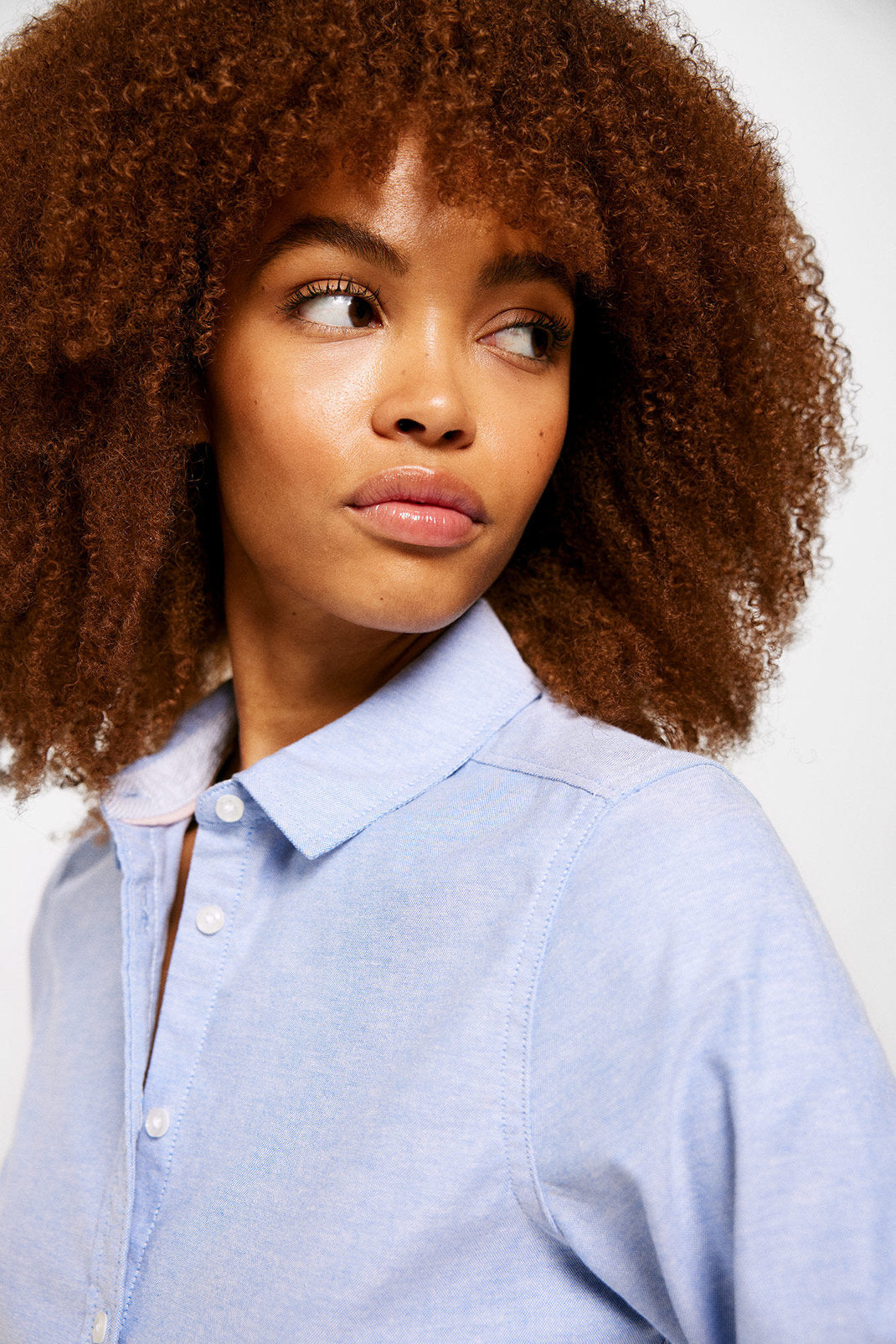 Classic Button Down Shirt_6797701_11_02