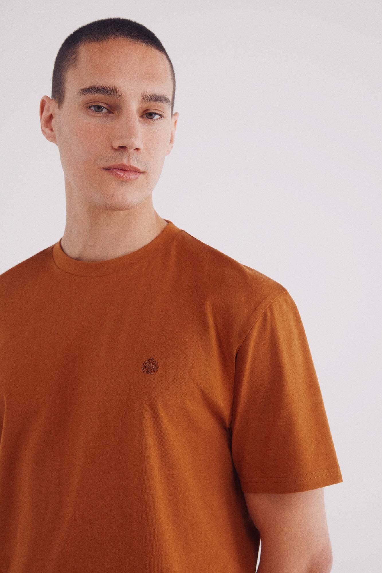 Springfield_Basic Round Neck T-Shirt_7122284_66_02
