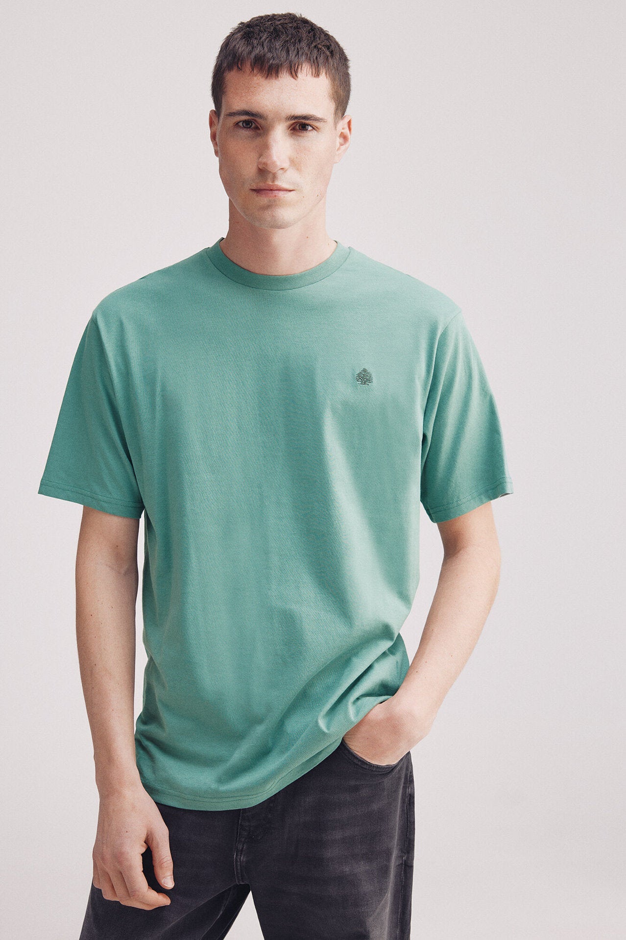 Springfield_Basic Round Neck T-Shirt_7122295_25_01