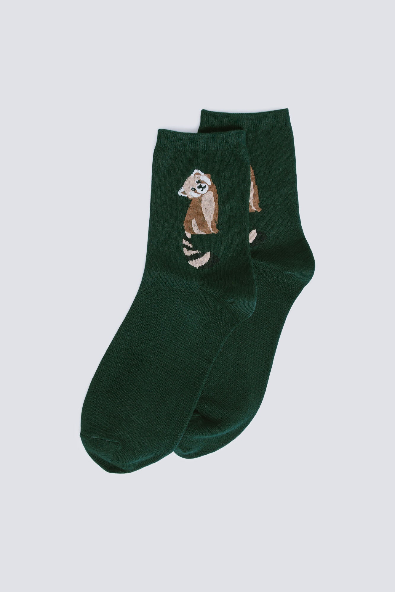 Springfield_Green_Raccoon Long Sock_8542343_20_01