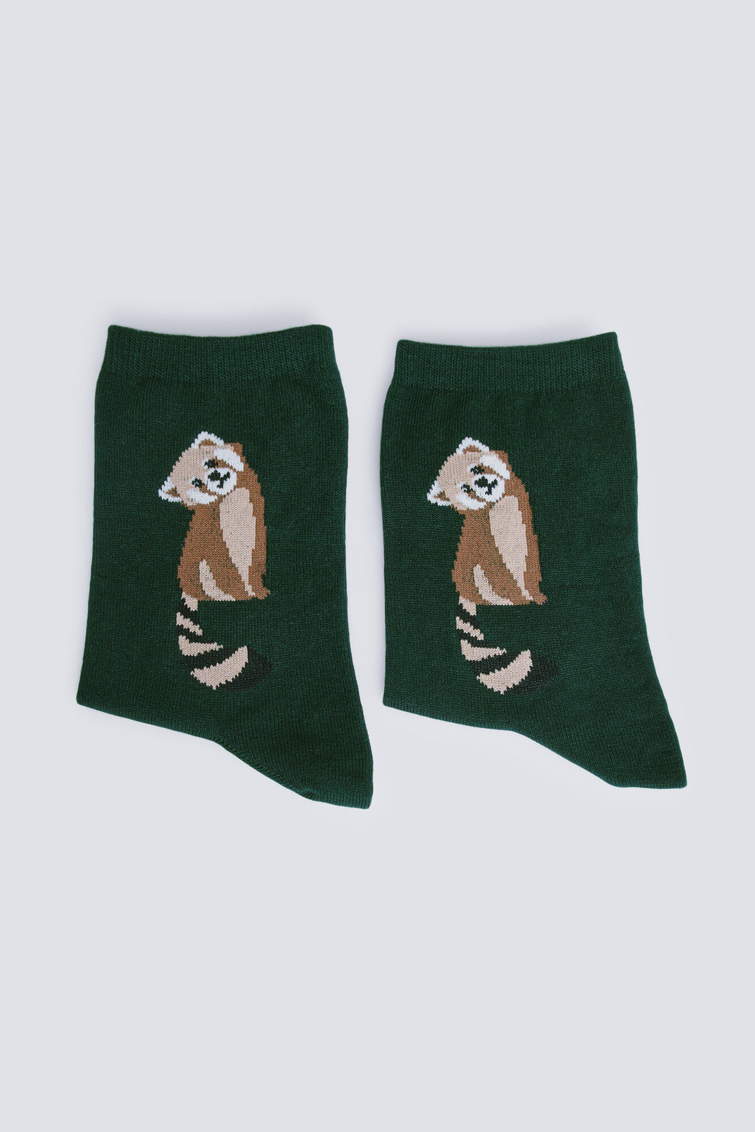 Springfield_Green_Raccoon Long Sock_8542343_20_02