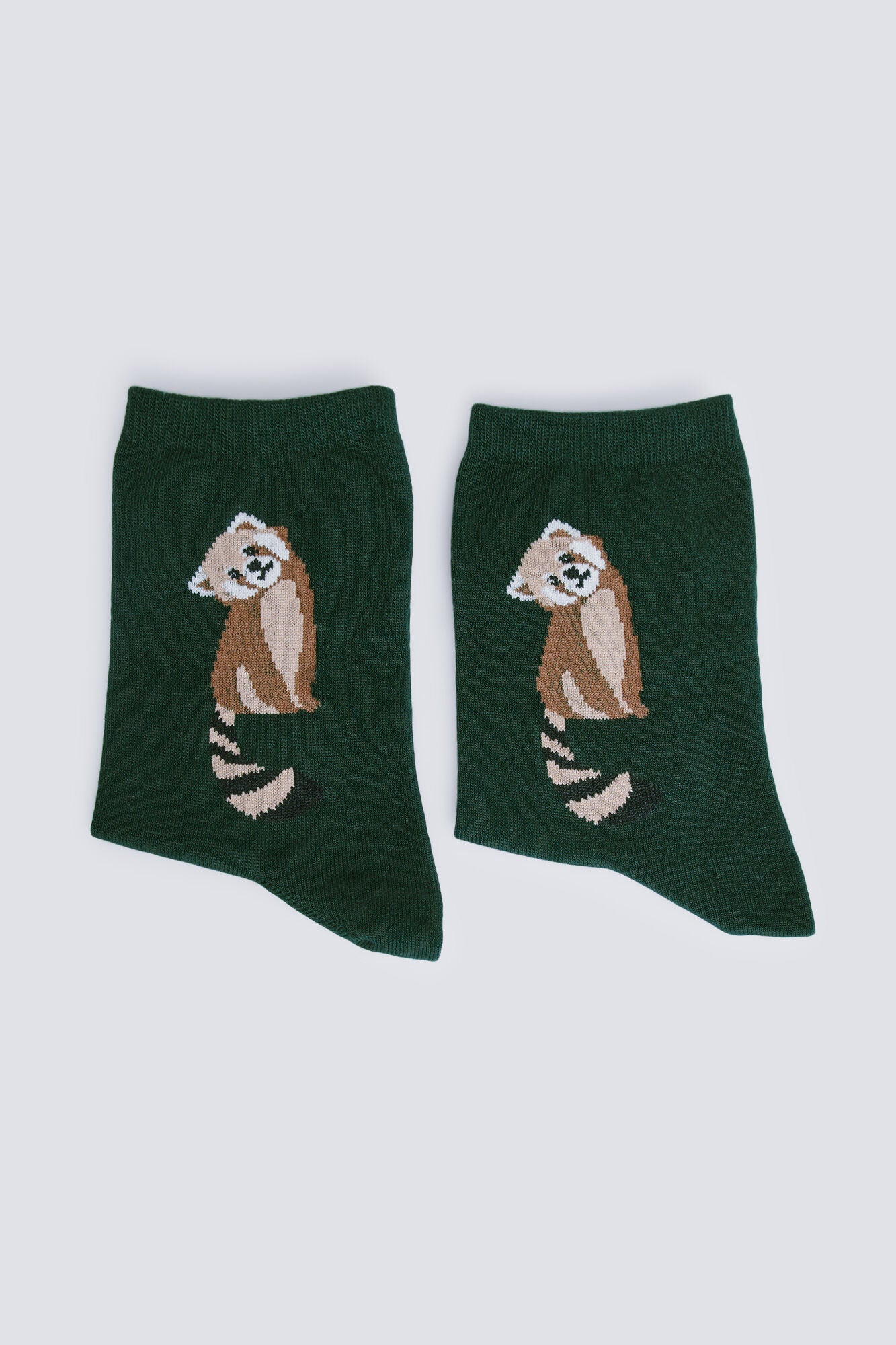 Springfield_Green_Raccoon Long Sock_8542343_20_02