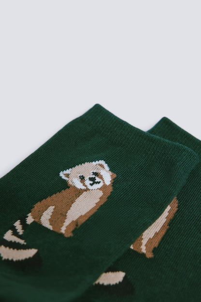 Springfield_Green_Raccoon Long Sock_8542343_20_03