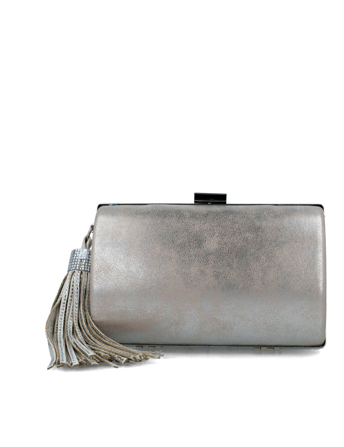 Silver Clutch With Fringe Accessory_85651_09_01