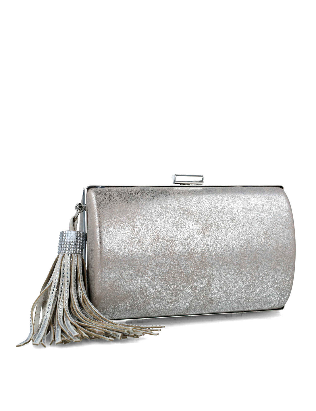 Silver Clutch With Fringe Accessory_85651_09_02