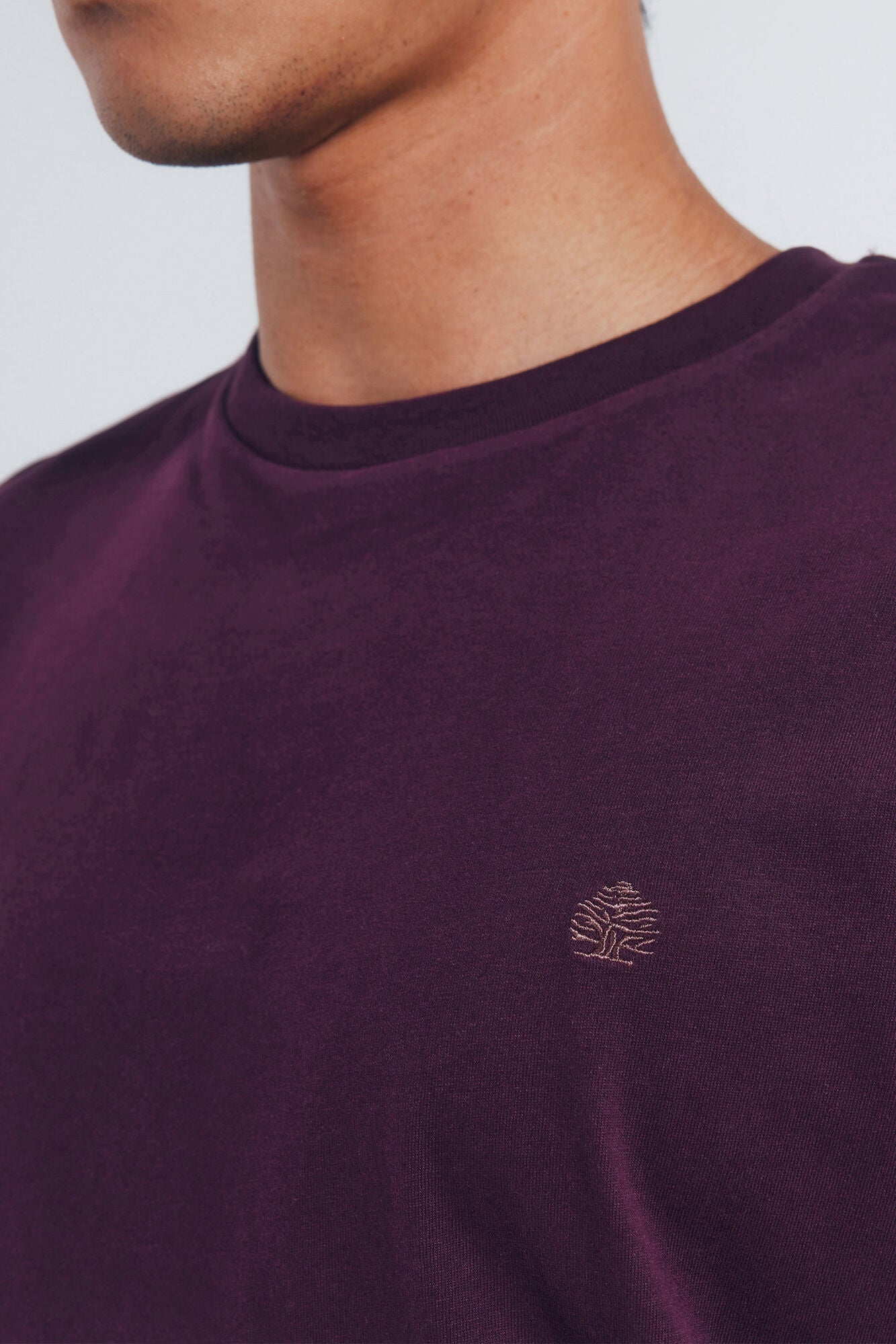 Springfield_Maroon_Basic Long Sleeve T-Shirt with a Soft Finish_8832421_69_03