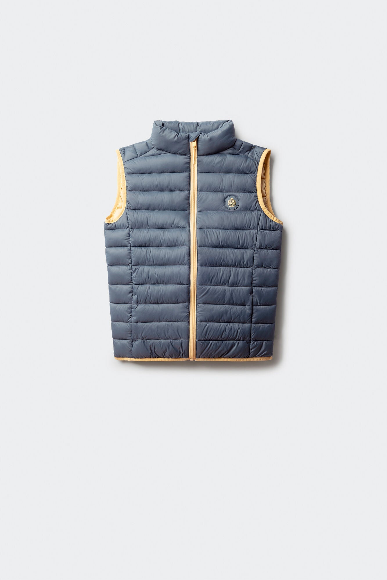 Springfield_Blues_Boy&