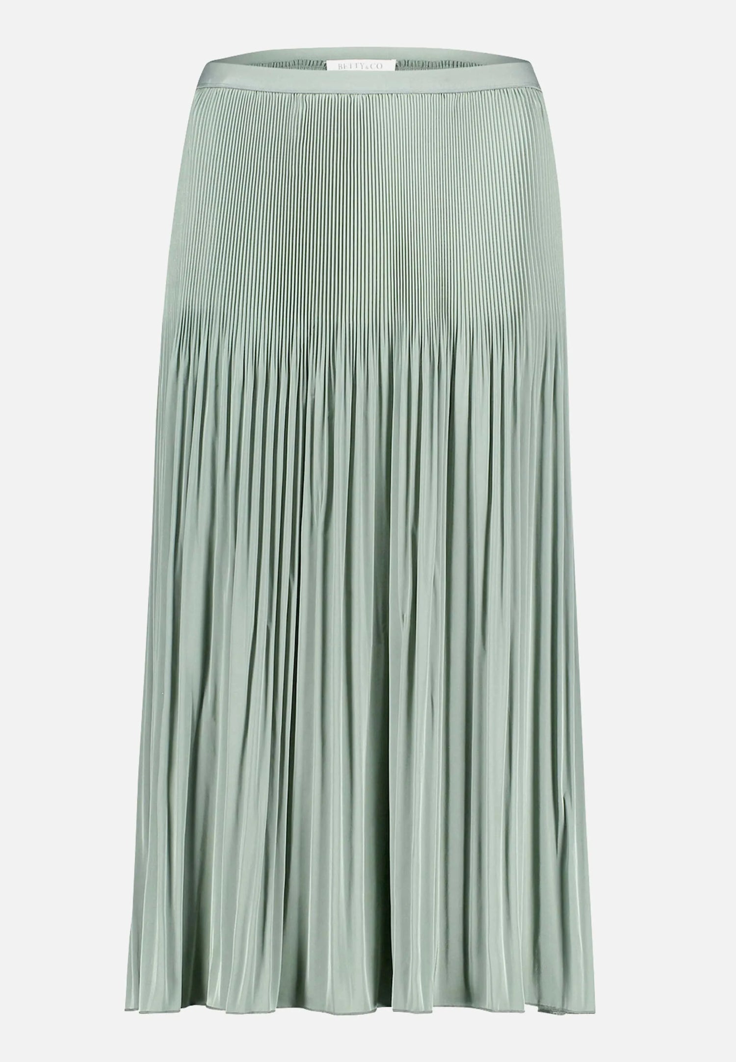 Betty Barclay Lily Pad Women Pleated Midi Skirt SKU: 9020-3285_5554 Image 05
