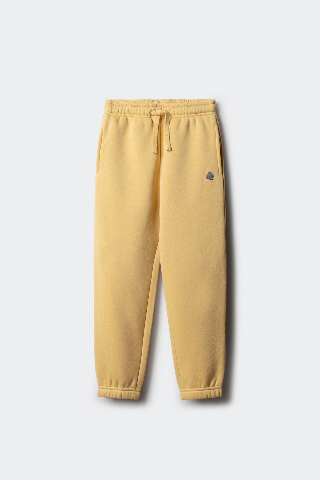 Springfield_Yellow_Boy&