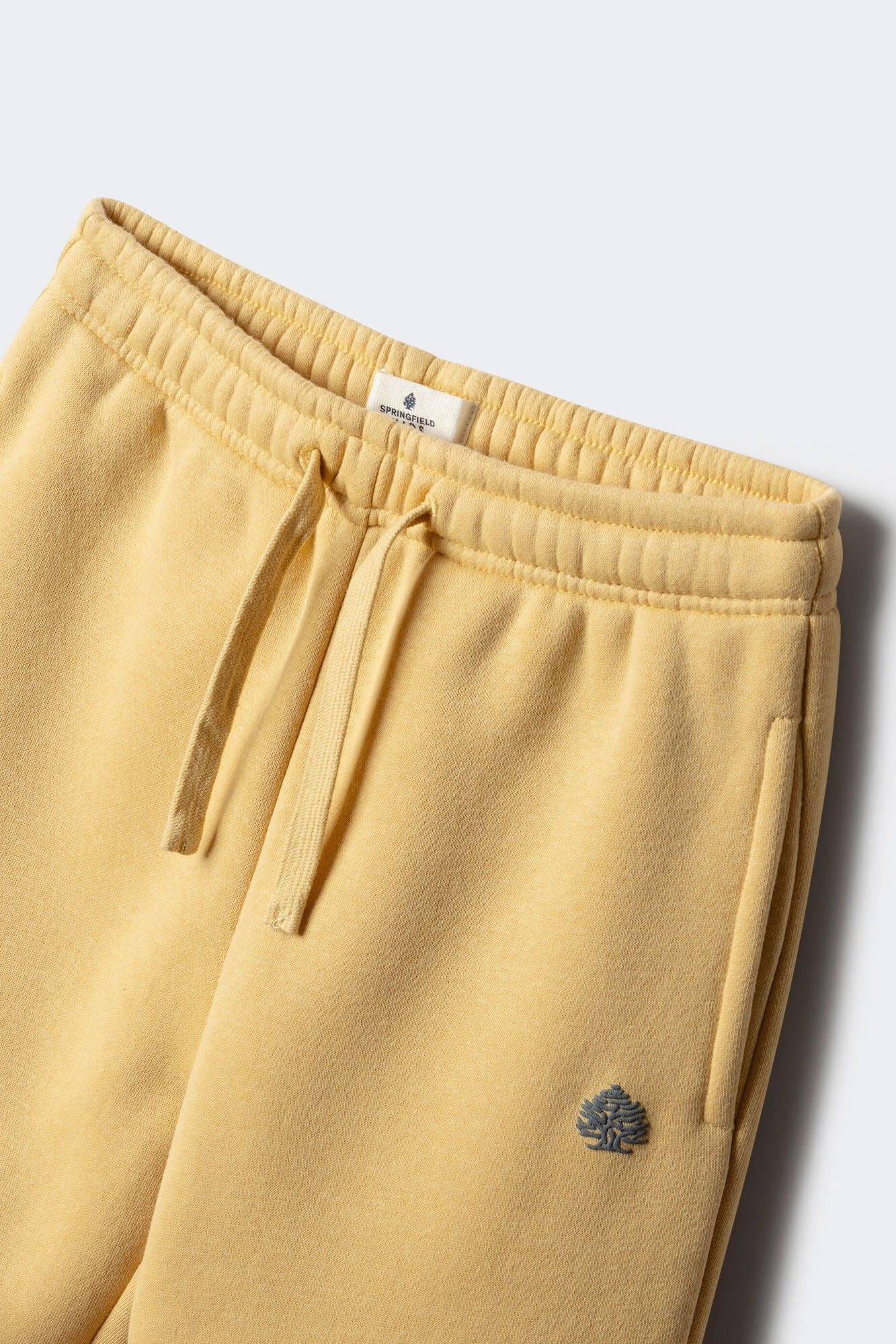 Springfield_Yellow_Boy&