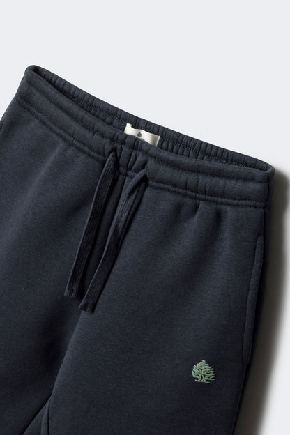 Springfield_Blue_Boy&