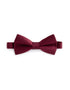 Celio_Burgundy_Satin Bow Tie_BIBOW2_BURGUNDY_01