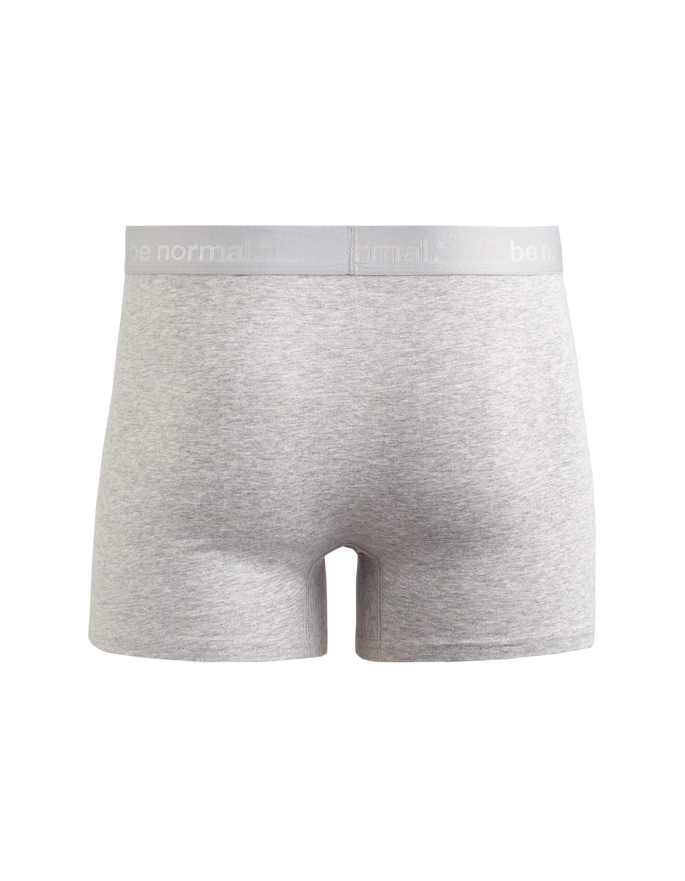 Celio_Light Grey Mel_Plain Stretch Cotton Boxer Shorts_BINORMAL_LIGHT GREY MEL_02