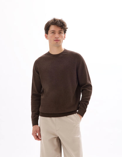 Celio_Dark Brown_100% Cotton Crew Neck Sweater_DECOTON_DARK BROWN_01