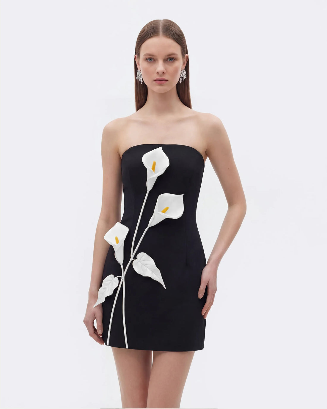 JW Pei Black Women Strapless Floral AppliquŽ Dress SKU: DS1494-1_Black Image 01