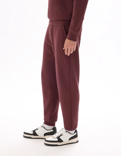Celio_Raisin_Regular Jogging Pants_FOJOGGIE2_RAISIN_04