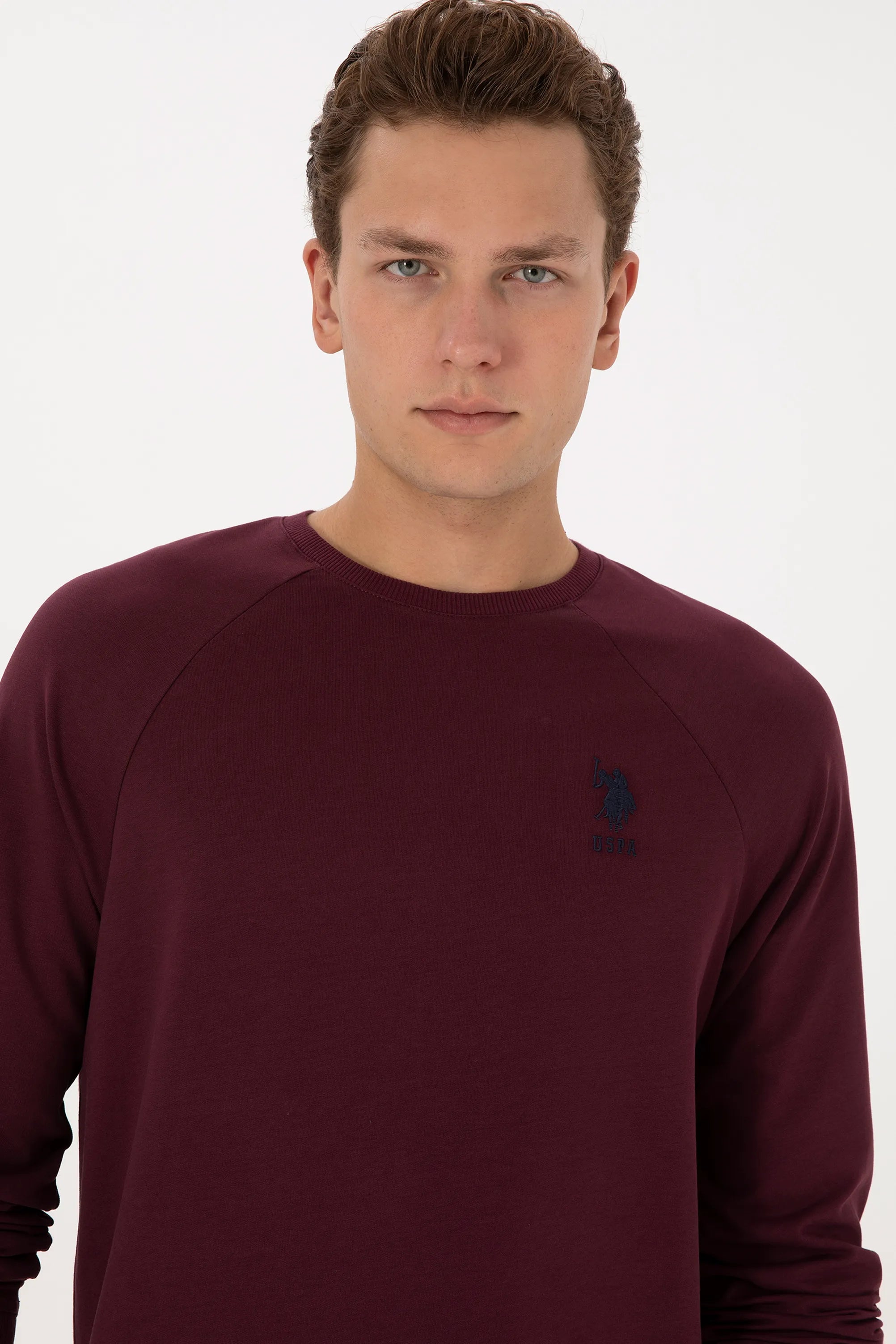 U.S. Polo Assn._New Plum_New Plum Sweatshirt With Logo_G081SZ0820 2231755_VR177_02