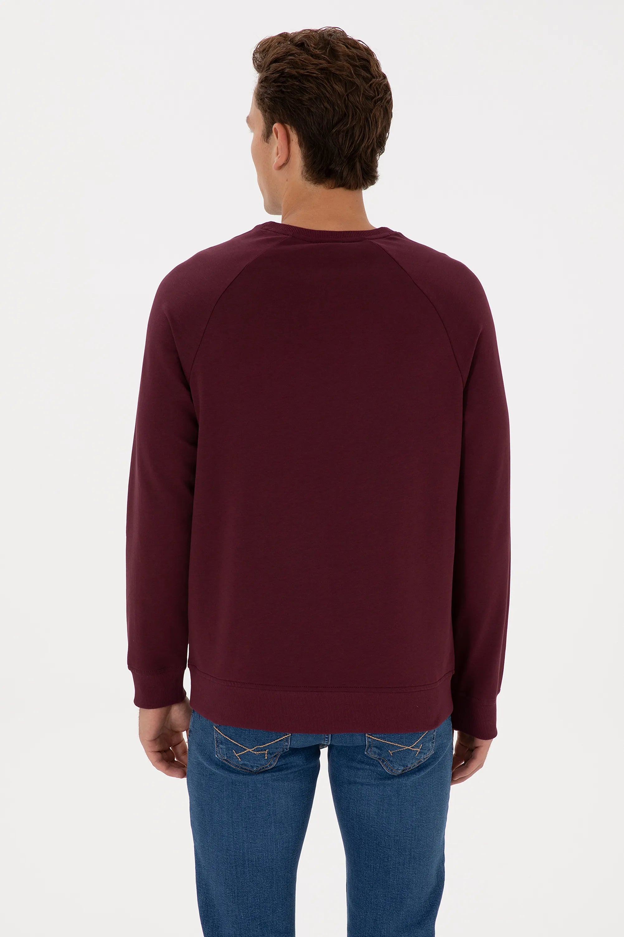 U.S. Polo Assn._New Plum_New Plum Sweatshirt With Logo_G081SZ0820 2231755_VR177_05