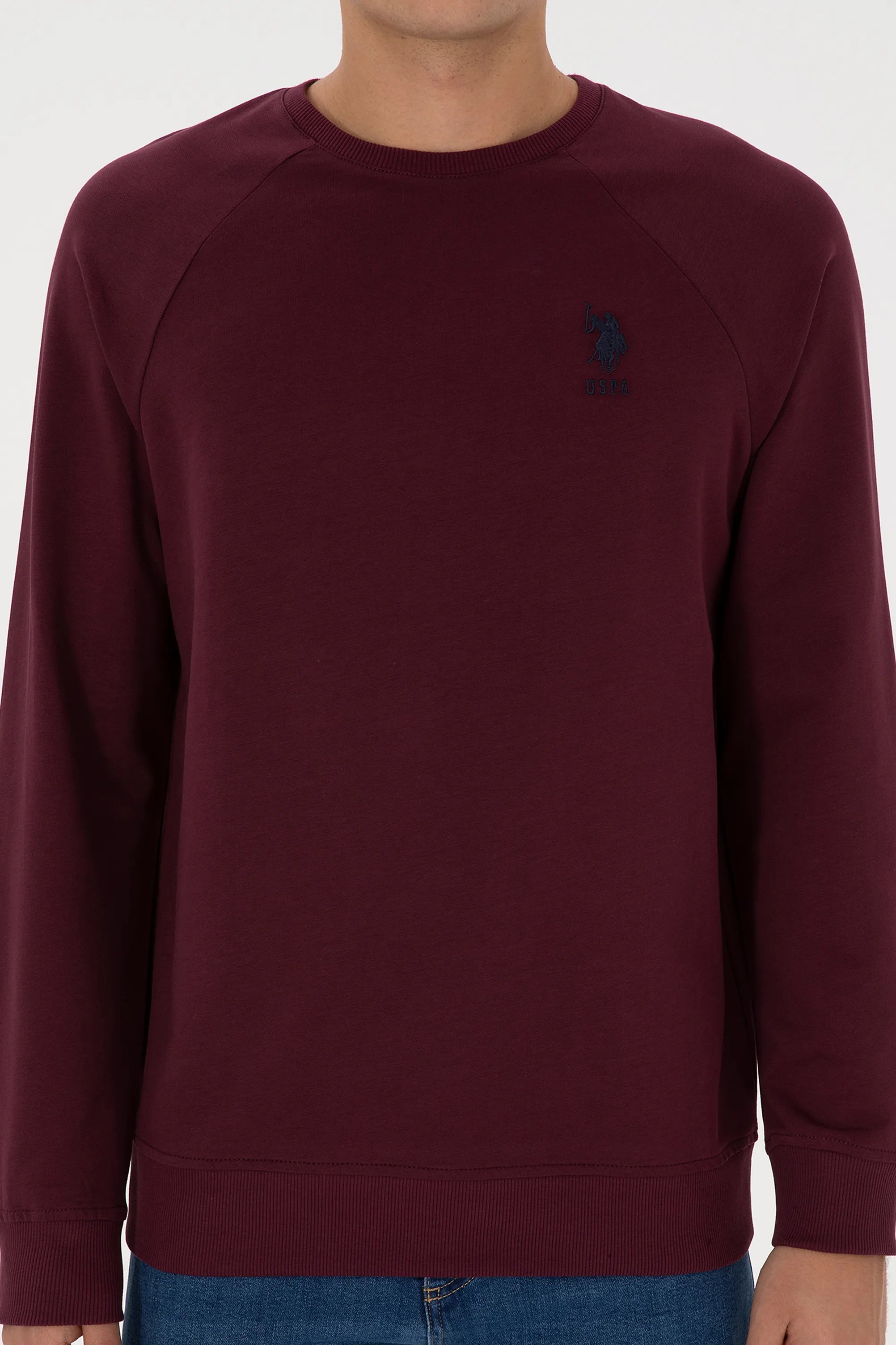 U.S. Polo Assn._New Plum_New Plum Sweatshirt With Logo_G081SZ0820 2231755_VR177_06