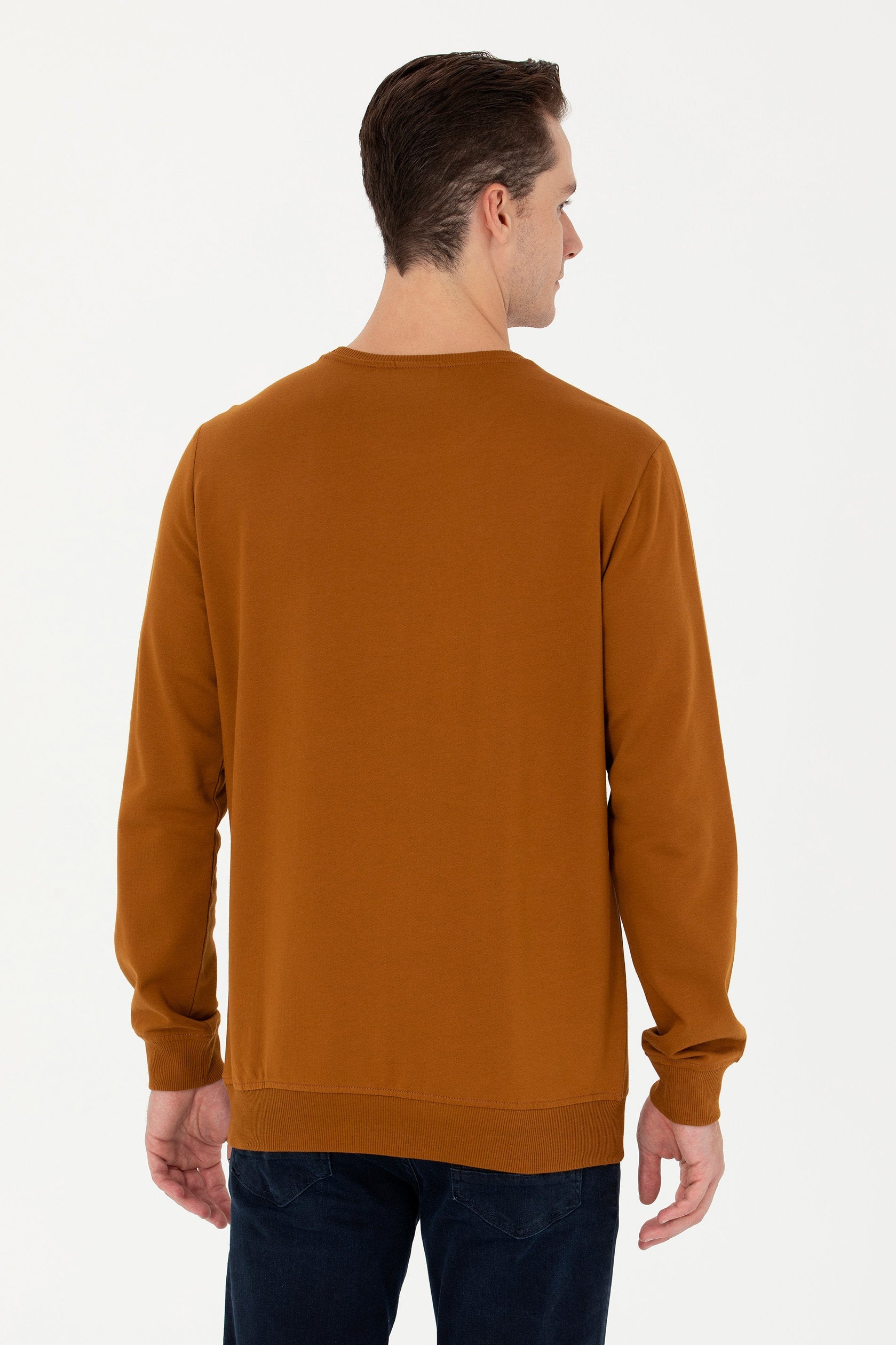 Brown Sweatshirt_G081SZ0820 1667982_VR153_03