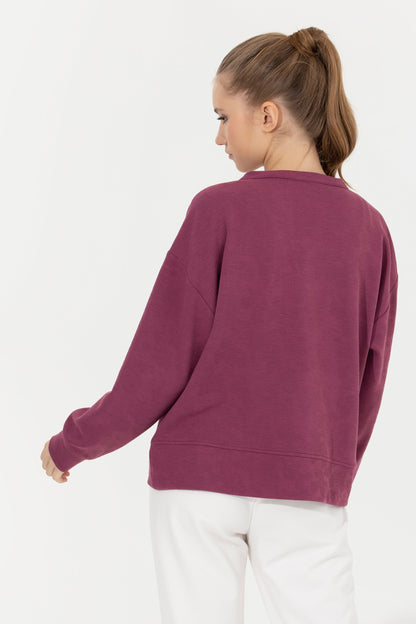 Mauve Sweat Shirt U.S. Polo Assn.