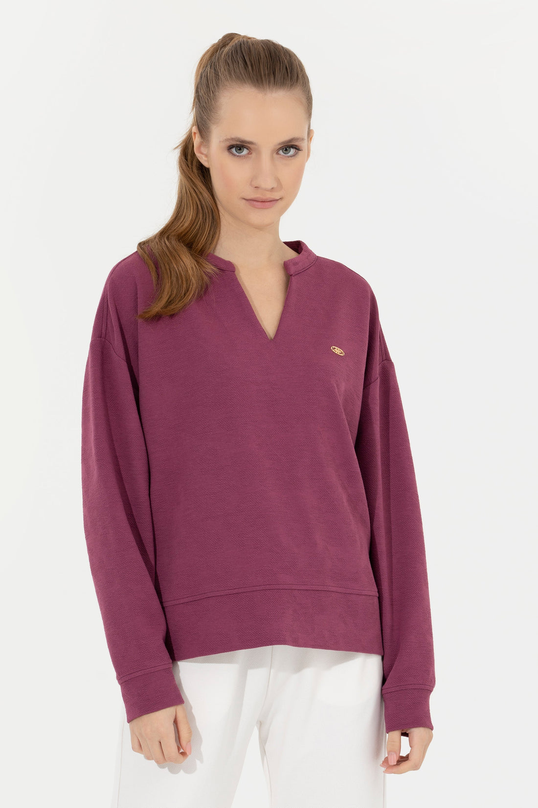 Mauve Sweat Shirt U.S. Polo Assn.