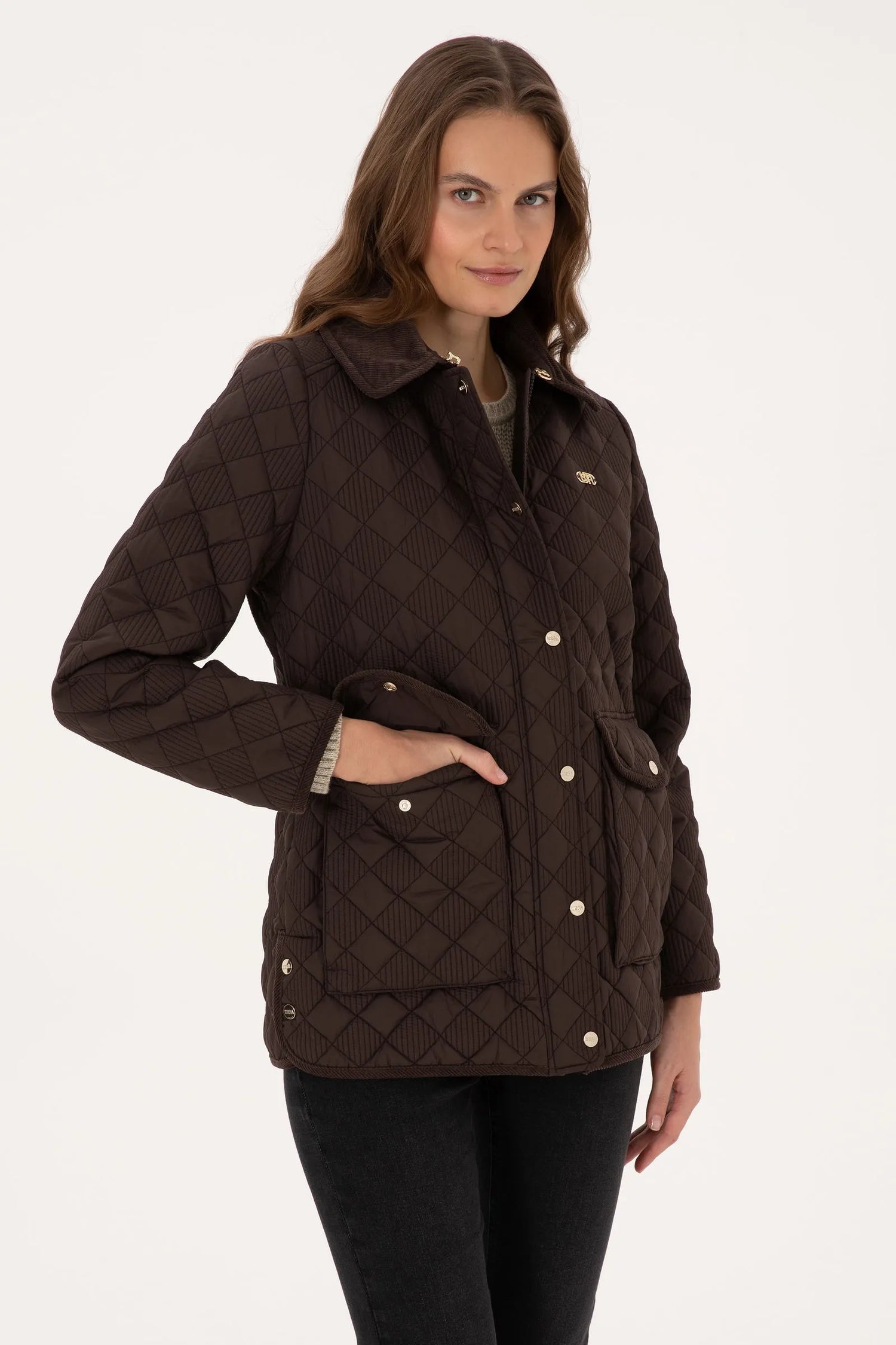 U.S. Polo Assn._Dark Brown_Dark Brown Quilted Jacket_G082SZ0MS0 2229021_VR084_01