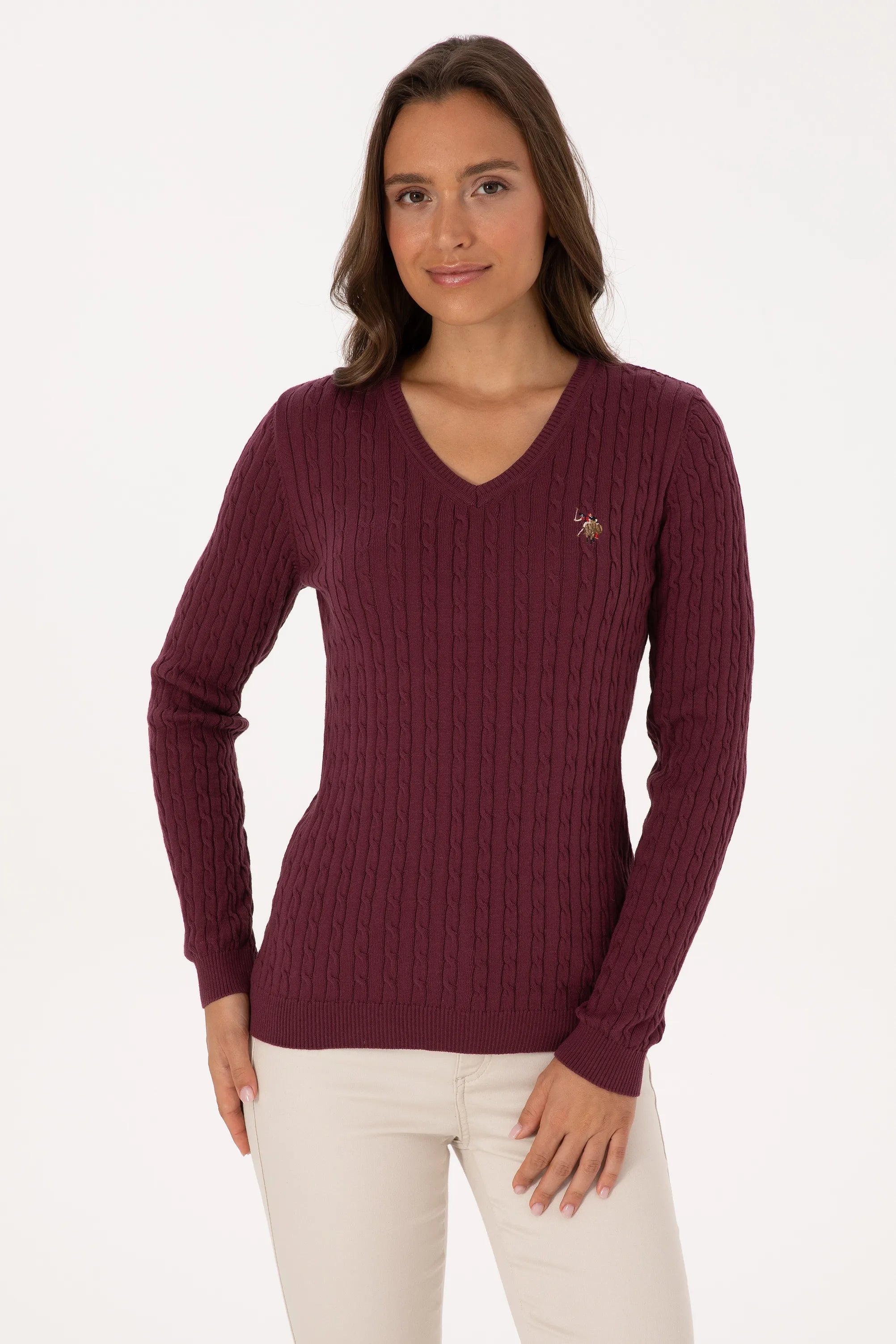 U.S. Polo Assn._New Plum_New Plum Pullover_G082SZ0TK0 2226089_VR177_03