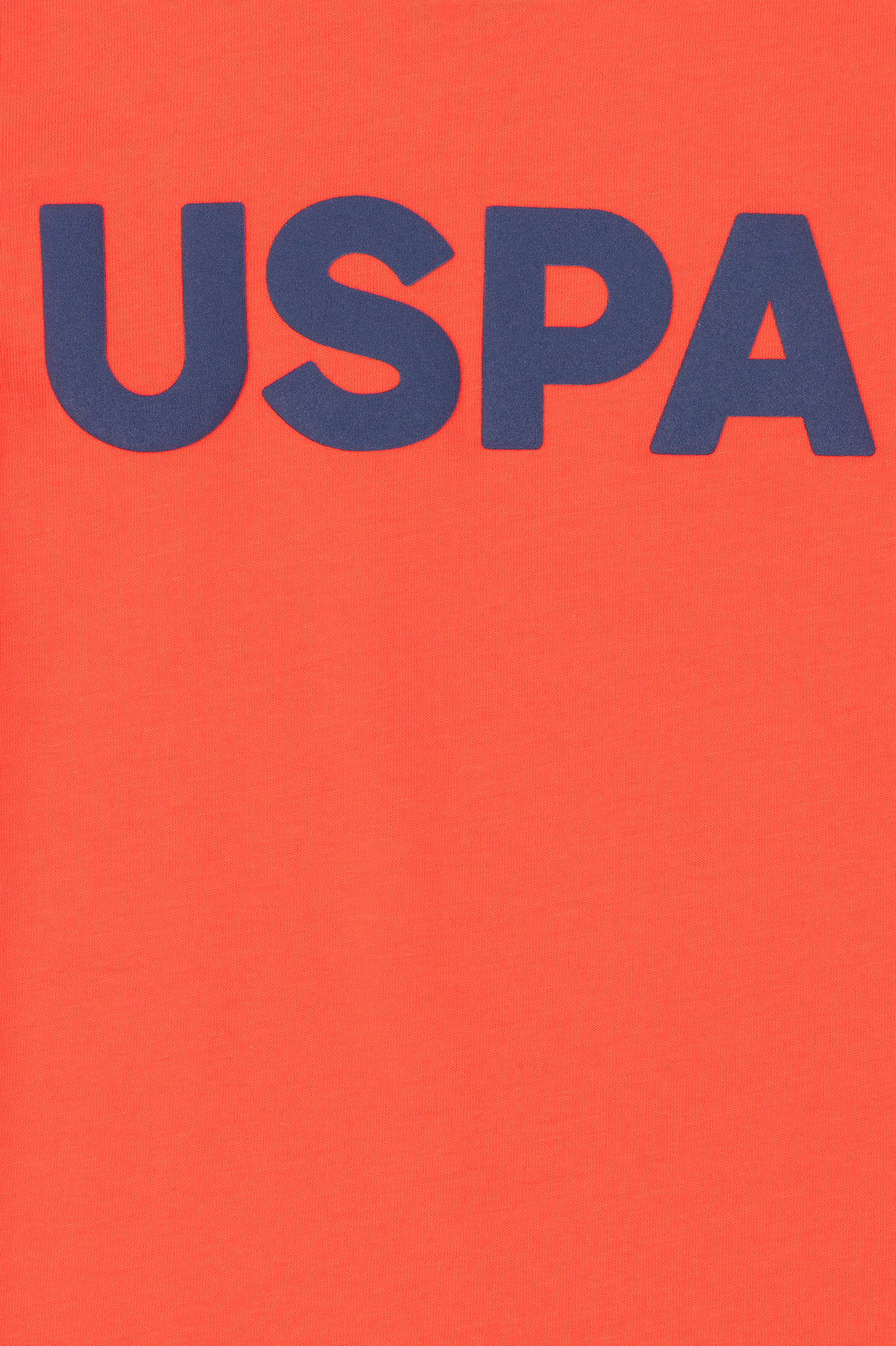 Round Neck T-Shirt With Uspa Logo_G083SZ0110 1795027_VR030_03