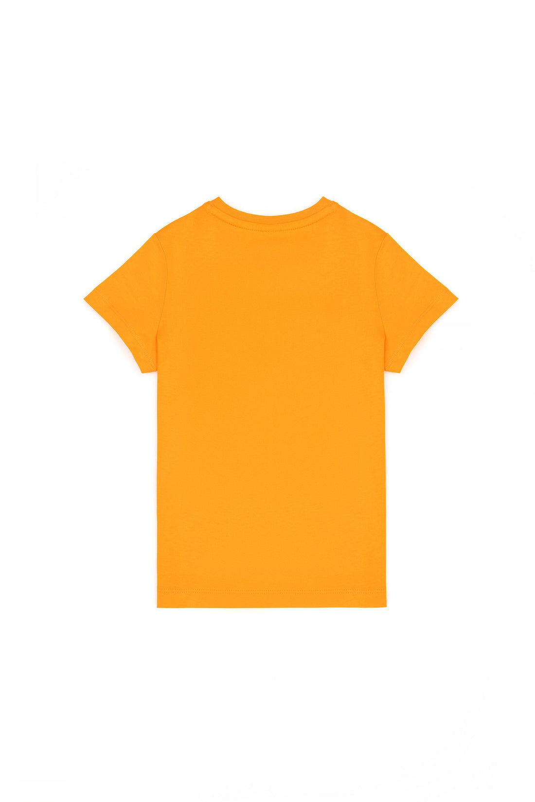 Boys Orange T-Shirt_G083SZ0110 1795027_VR051_02