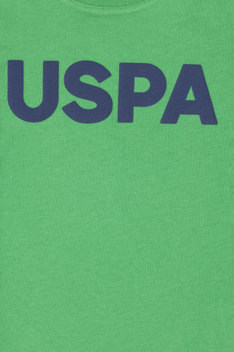 Round Neck T-Shirt With Uspa Logo_G083SZ0110 1795027_VR054_03