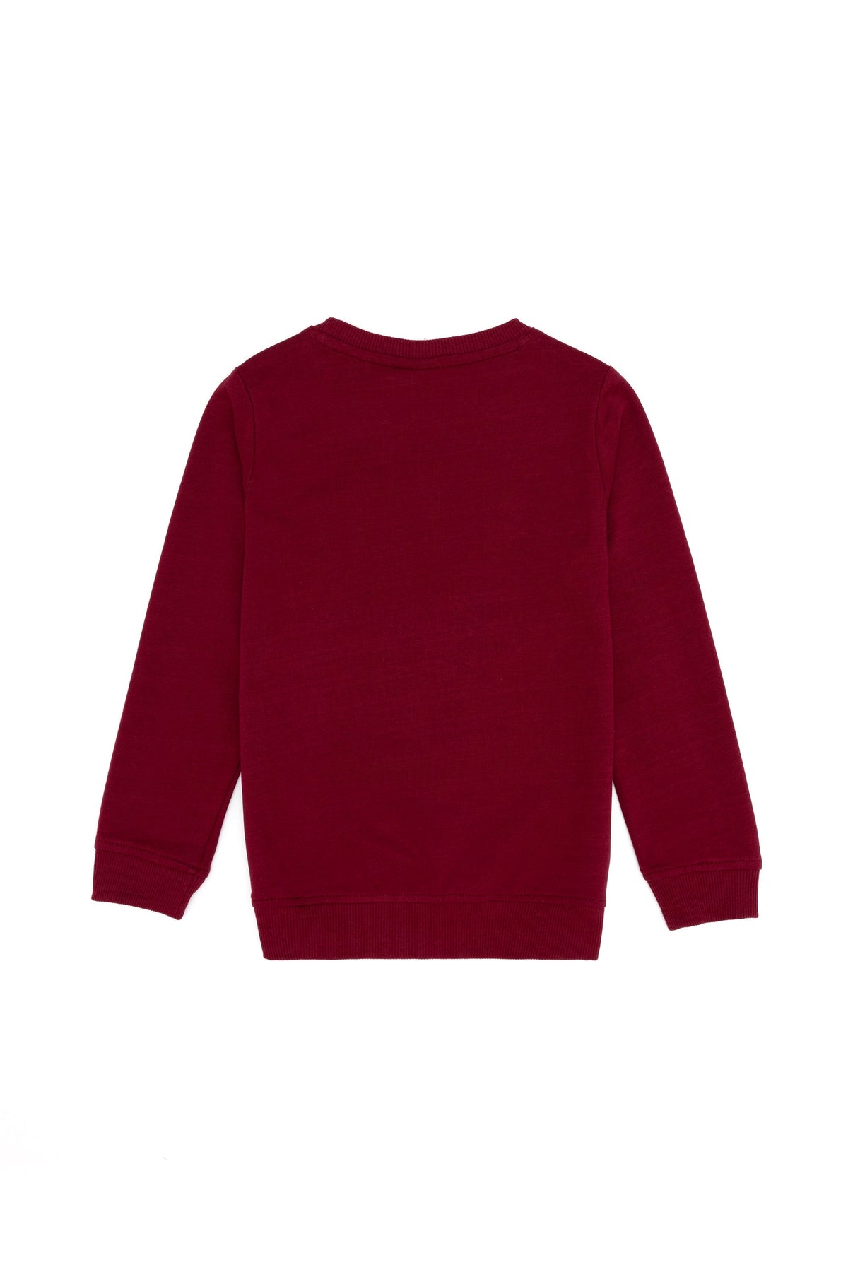 Red Sweat Shirt U.S. Polo Assn.
