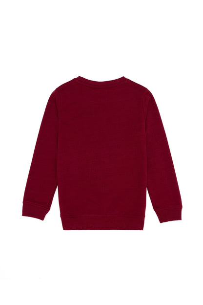 Red Sweat Shirt U.S. Polo Assn.