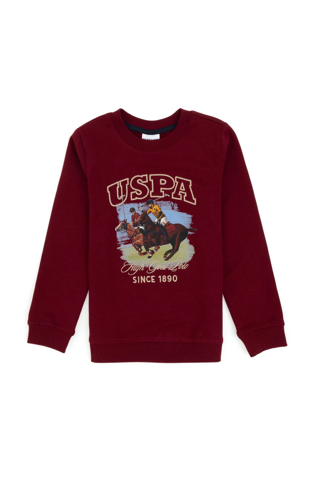 U.S. Polo Assn._Bordeaux_Bordeaux Long Sleeve T-Shirt With Design_G083SZ0820 2236478_VR014_01