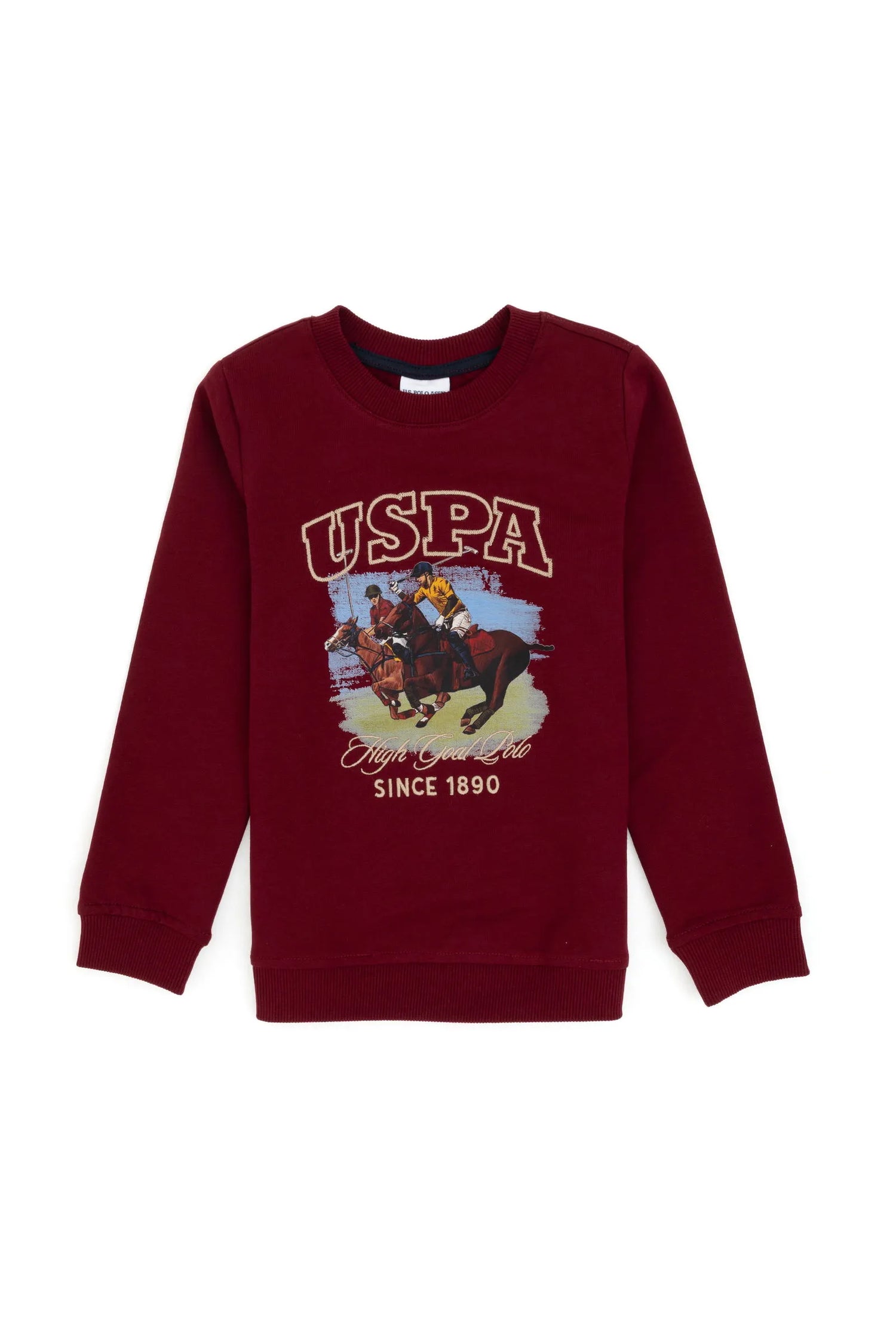 U.S. Polo Assn._Bordeaux_Bordeaux Long Sleeve T-Shirt With Design_G083SZ0820 2236478_VR014_01