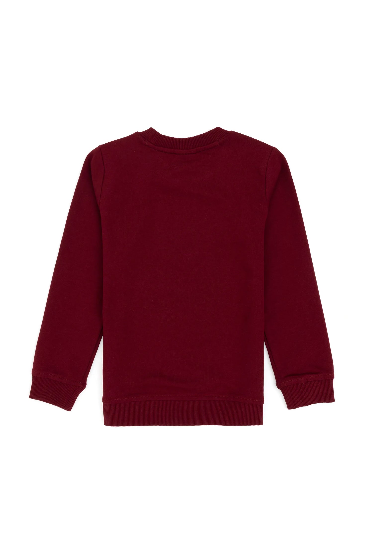 U.S. Polo Assn._Bordeaux_Bordeaux Long Sleeve T-Shirt With Design_G083SZ0820 2236478_VR014_02