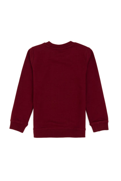 U.S. Polo Assn._Bordeaux_Bordeaux Long Sleeve T-Shirt With Design_G083SZ0820 2236478_VR014_02