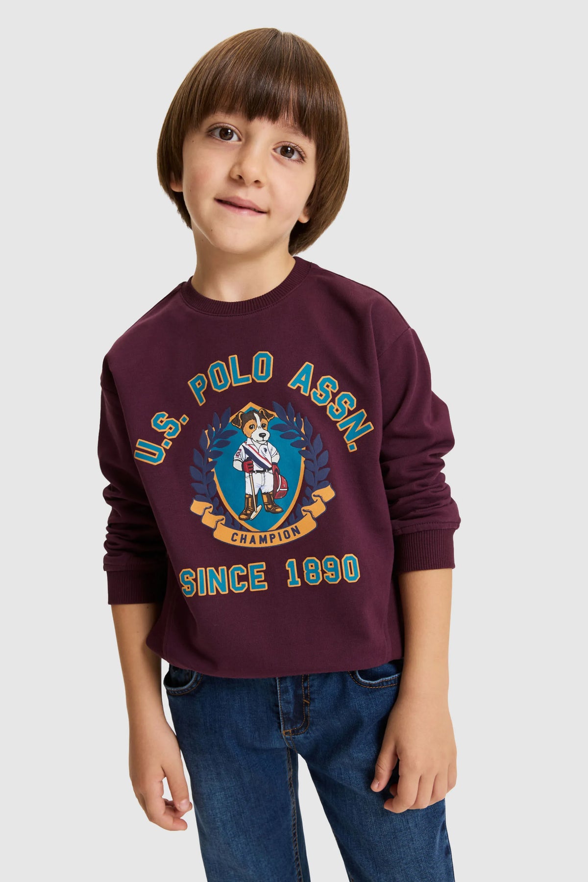 U.S. Polo Assn. Dark Plum Boys Dark Plum Crew Neck Printed Sweatshirt SKU: G083SZ0820 PU-13774_VR180 Image 02