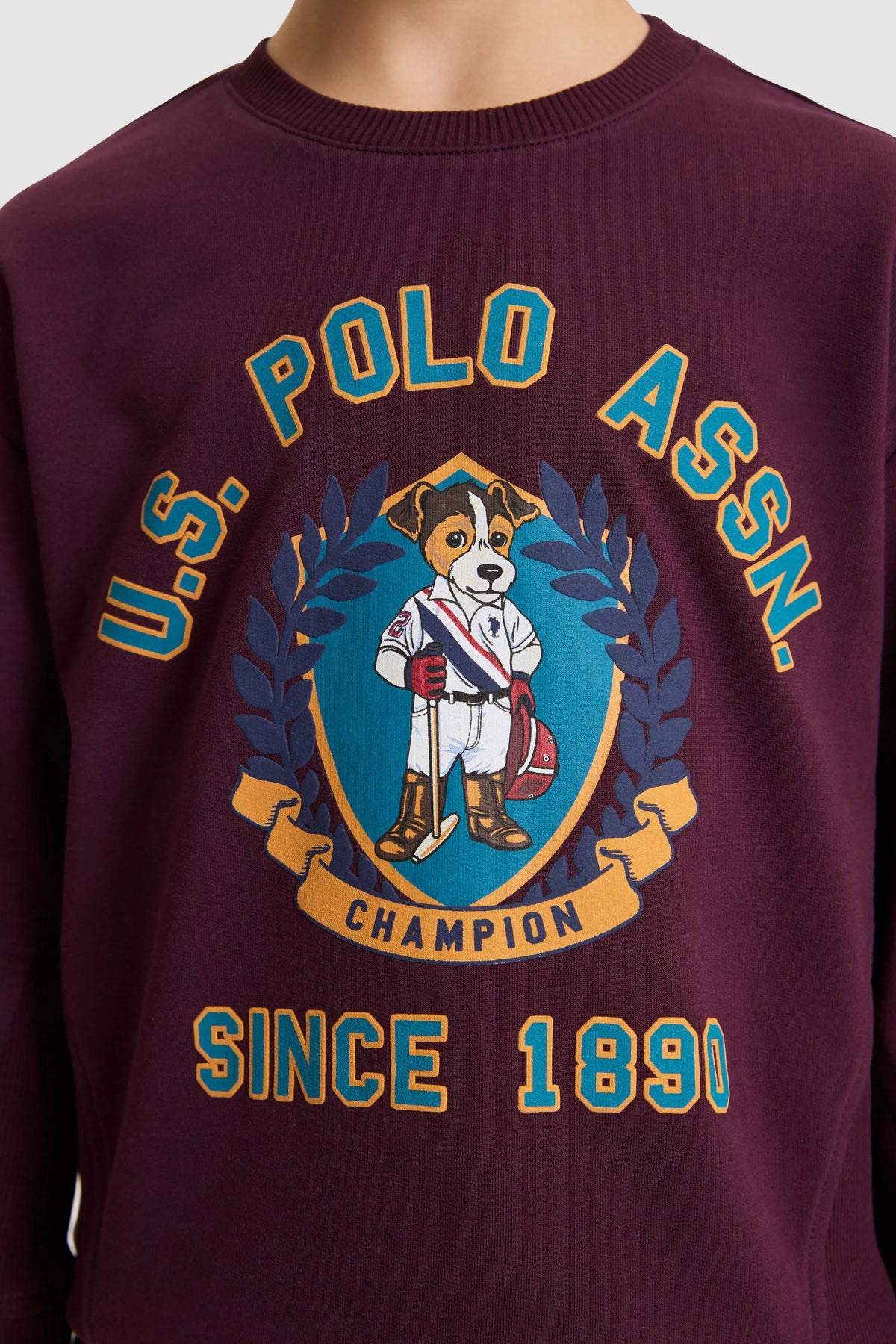 U.S. Polo Assn. Dark Plum Boys Dark Plum Crew Neck Printed Sweatshirt SKU: G083SZ0820 PU-13774_VR180 Image 06