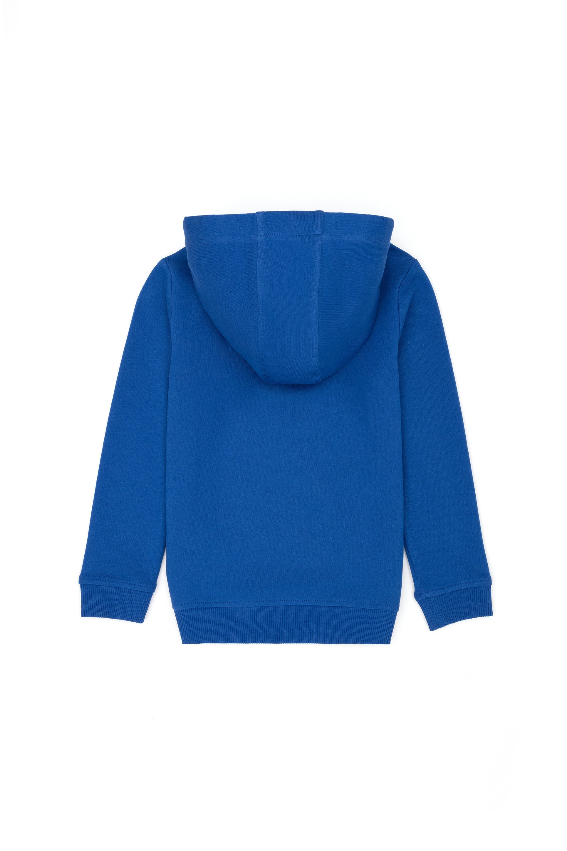 Blue Sweatshirt_G083SZ0820 1639315_VR045_03