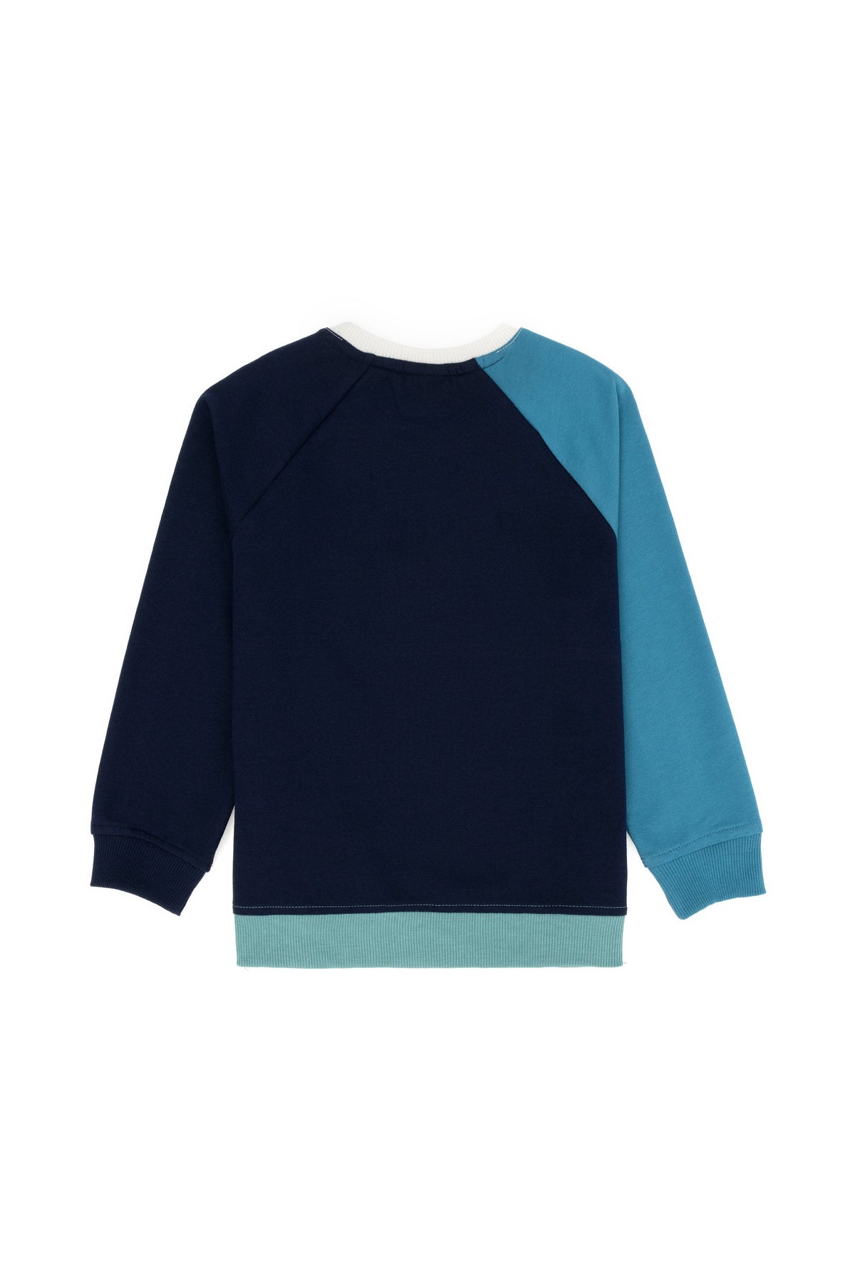 Multi-Color Sweatshirt_G083SZ0820 1667980_VR033_03
