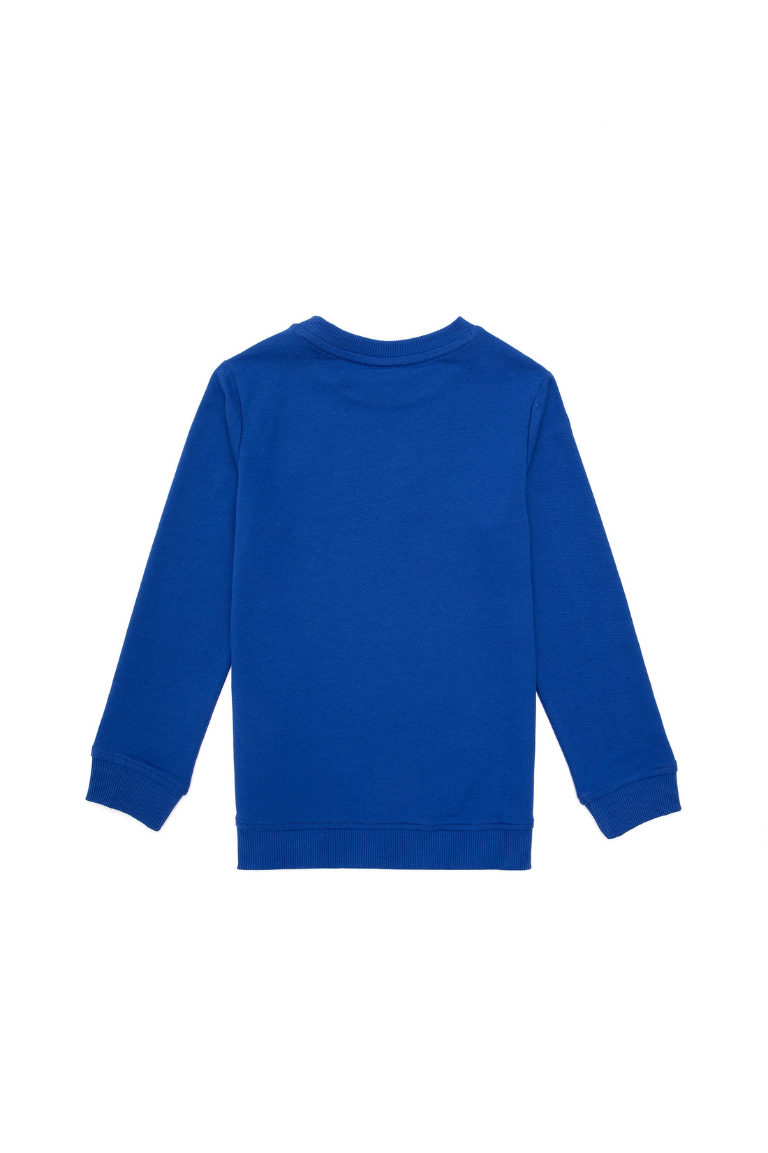 Blue Sweatshirt with Logo_G083SZ0820 1927643_VR045_02