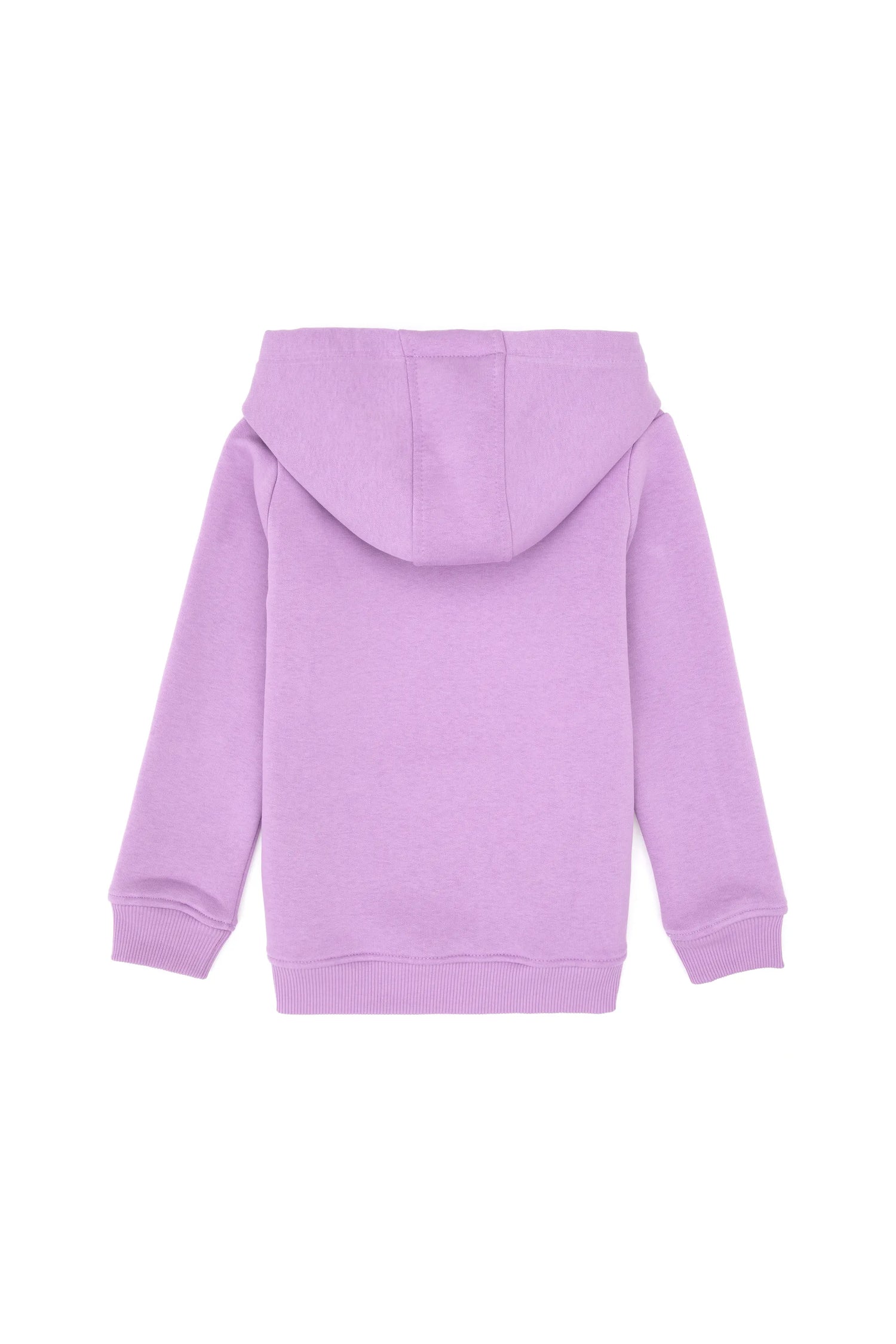 U.S. Polo Assn._Lilac_Lilac Sweat Shirt_G084SZ0820 PU-7878_VR034_02