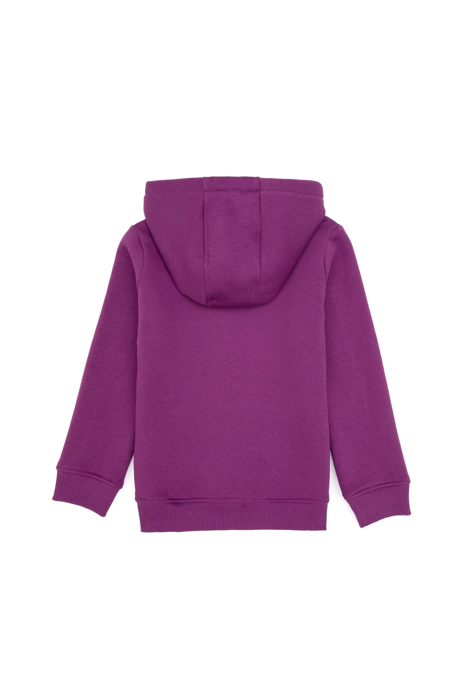 U.S. Polo Assn._Violet_Violet Hoodie_G084SZ0820 PU-7878_VR037_04