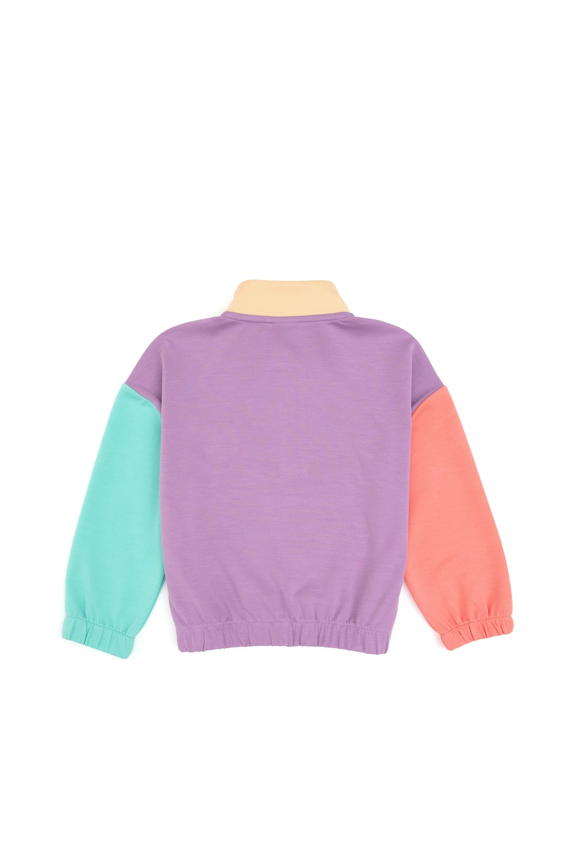 U.S. Polo Assn._Lilac_Lilac Sweatshirt_G084SZ0820 PU-7925_VR034_02