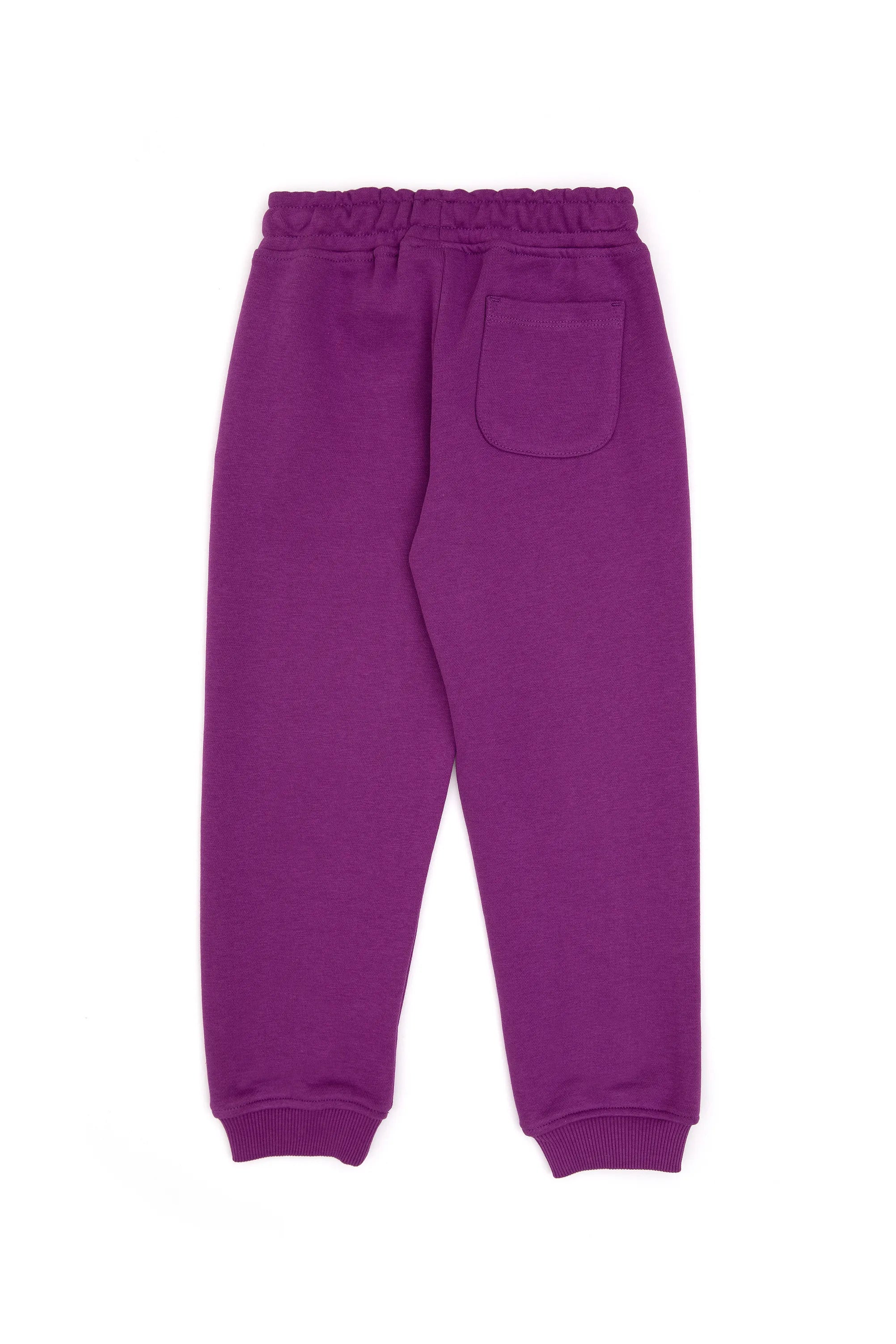 U.S. Polo Assn._Violet_Violet Sweatpants_G084SZ0OP0 PU-7883_VR037_03