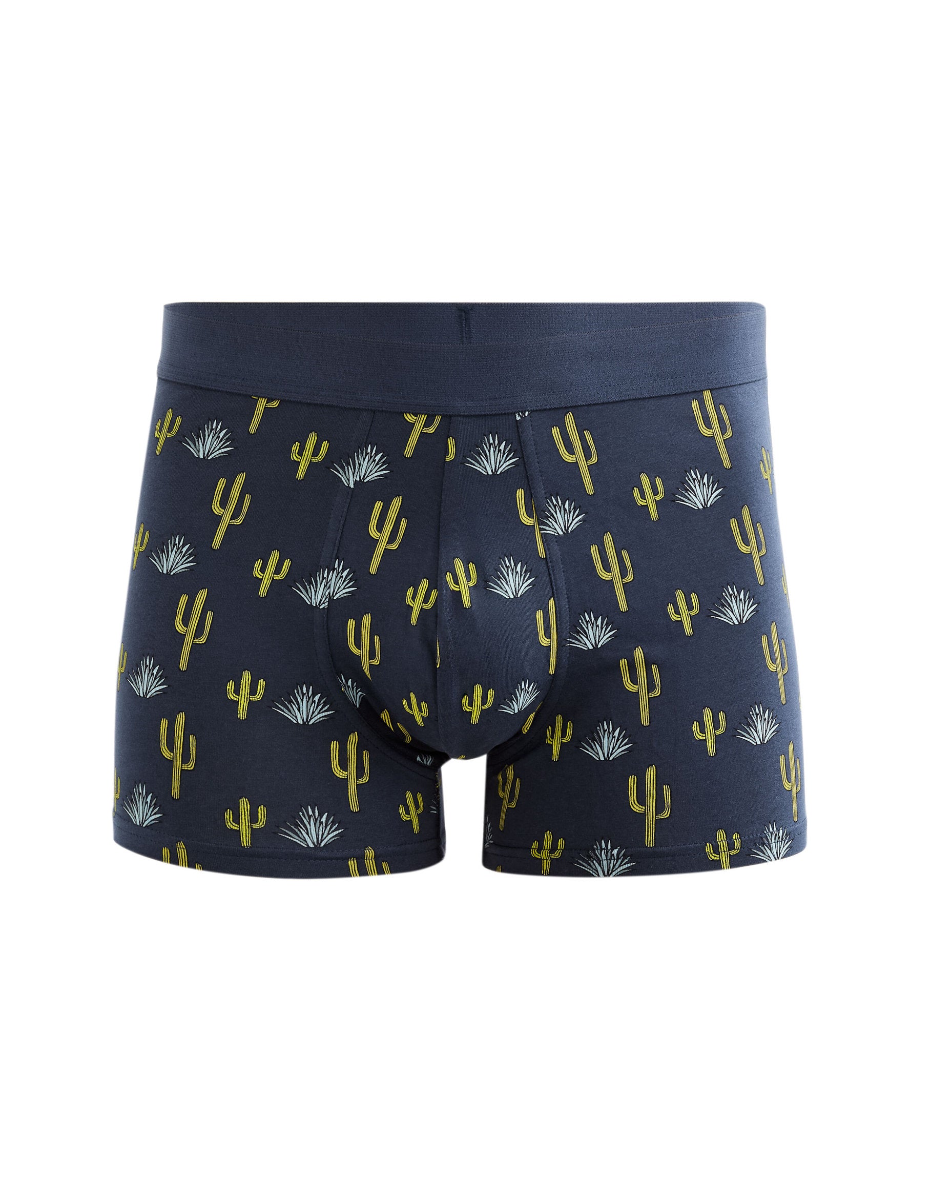 Boxer With Cactus Motifs - Navy_01