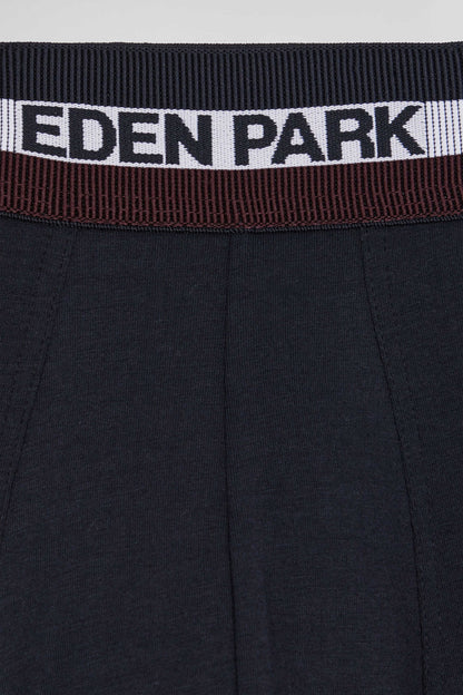 Set Of 2 Camel Stretch Cotton Boxers With Tricolor Waistband_03