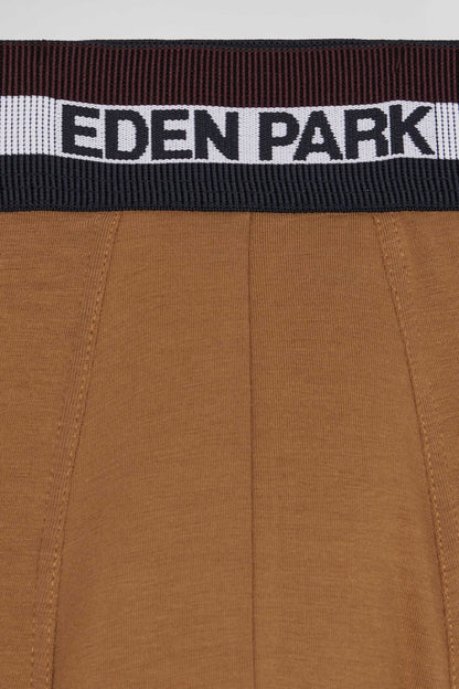 Set Of 2 Camel Stretch Cotton Boxers With Tricolor Waistband_04