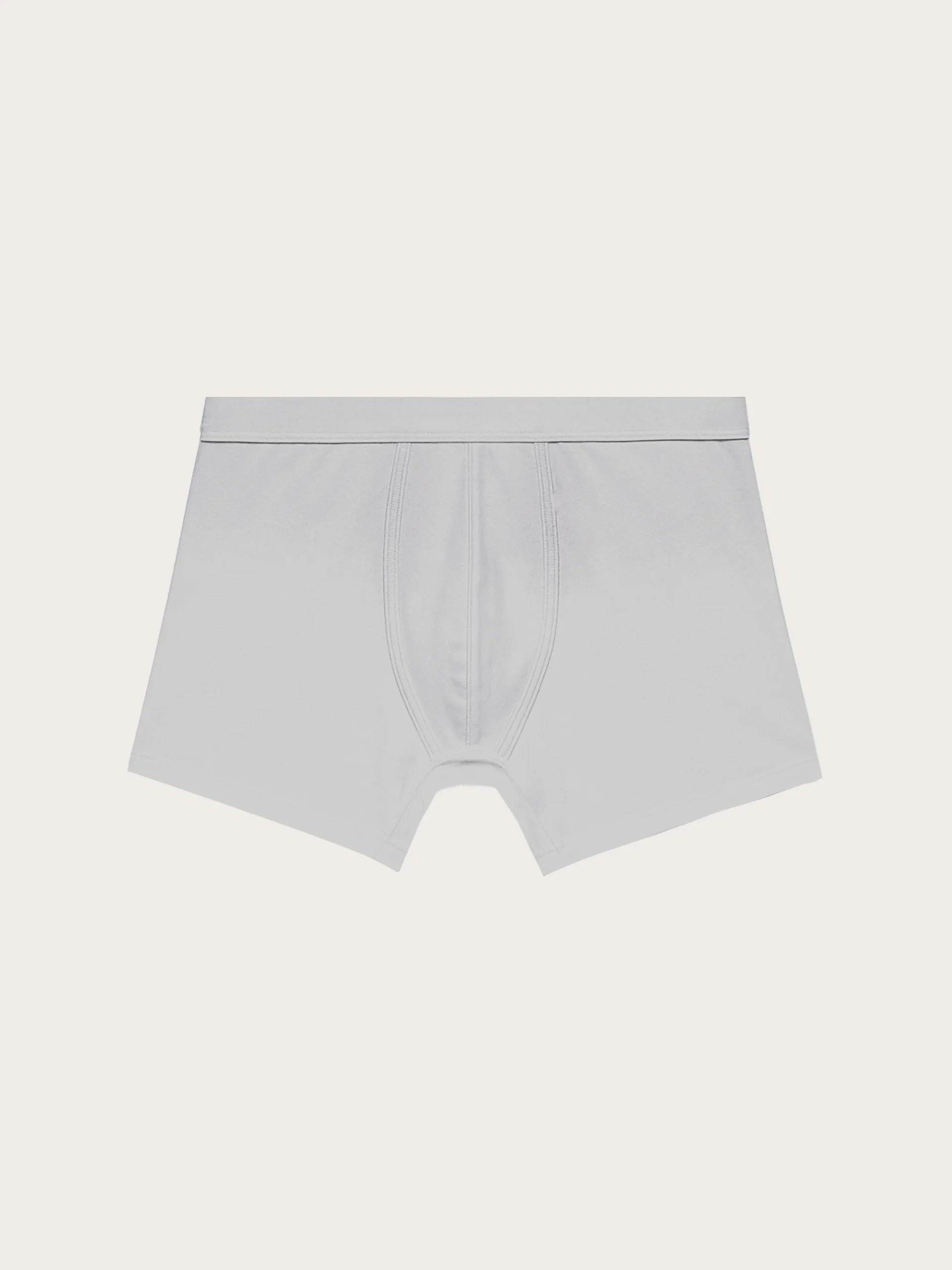 Yamamay_Light Grey_Trunks - Modal/Cotton/Silk_IPAU191008_052_04